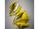 Amarelo Branco Preto Moto Plástico Yamaha R6 06-07