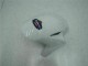 Azul Branco Carroçaria Moto Honda CBR 1000RR 04-05 Azul Branco Carroçaria Moto Honda CBR 1000RR 04-05
