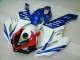 Azul Branco Kit Completo Carenagem Moto Honda CBR 1000RR 04-05