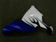 Branco Abs Moto Plásticos Yamaha R1 02-03
