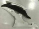 Branco Kit Carenagem Moto Yamaha R6 08-16 Branco Kit Carenagem Moto Yamaha R6 08-16