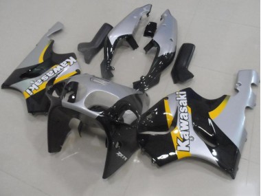 Prata & Preto Carenagem Moto Kawasaki ZX9R 00-01