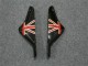 Preto Branco Eurobet Carenagem Moto Kawasaki ZX6R 00-02