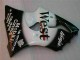 Preto West Ninja Carenagem Moto Kawasaki ZX6R 03-04 Preto West Ninja Carenagem Moto Kawasaki ZX6R 03-04