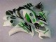 Verde Branco Carenagem Moto Honda CBR 1000RR 08-11 Verde Branco Carenagem Moto Honda CBR 1000RR 08-11