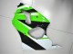 Verde Branco Preto Carenagem Moto Kawasaki ZX6R 00-02 Verde Branco Preto Carenagem Moto Kawasaki ZX6R 00-02