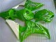Verde Carenagem Moto Honda CBR 1000RR 06-07