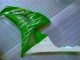 Verde Carenagem Moto Honda CBR 1000RR 06-07