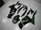 Verde Chama Carenagem Moto Kawasaki EX650 06-08 Verde Chama Carenagem Moto Kawasaki EX650 06-08