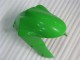 Verde Kits Completo Carenagem Moto Kawasaki ZX6R 05-06 Verde Kits Completo Carenagem Moto Kawasaki ZX6R 05-06