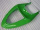 Verde Kits Completo Carenagem Moto Kawasaki ZX6R 05-06 Verde Kits Completo Carenagem Moto Kawasaki ZX6R 05-06