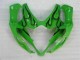 Verde Moto Plástico Suzuki GSXR 1000 K5 05-06 Verde Moto Plástico Suzuki GSXR 1000 K5 05-06