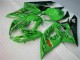 Verde Moto Plástico Suzuki GSXR 1000 K5 05-06 Verde Moto Plástico Suzuki GSXR 1000 K5 05-06