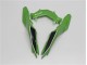 Verde Preto Abs Moto Plásticos Kawasaki EX300 13-16 Verde Preto Abs Moto Plásticos Kawasaki EX300 13-16