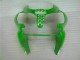 Verde Preto Carenagem Moto & Plástico Moto Kawasaki ZX6R 00-02 Verde Preto Carenagem Moto & Plástico Moto Kawasaki ZX6R 00-02