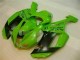 Verde Preto Dunlop Carenagem Moto Kawasaki ZX6R 07-08 Verde Preto Dunlop Carenagem Moto Kawasaki ZX6R 07-08