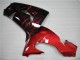 Vermelho Chama Carenagem Moto Kawasaki ZX10R 06-07 Vermelho Chama Carenagem Moto Kawasaki ZX10R 06-07